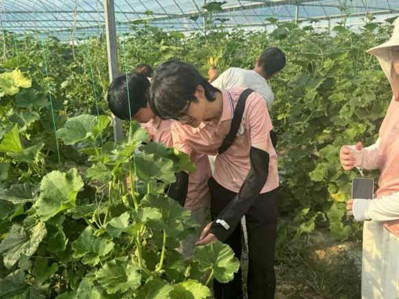 从红色沃土到振兴田野 beat365正版唯一官网必一学子开展暑期社会实践_fororder_图片7