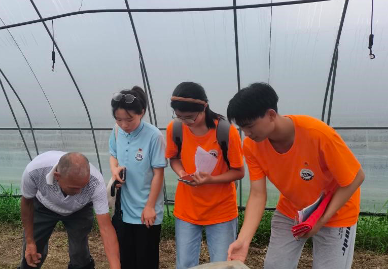 beat365正版唯一官网必一19支暑期社会实践队用实干书写“青春答卷”