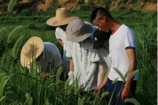 华东交大：22支“火车头”实践队进基层开展志愿服务活动_fororder_新华3