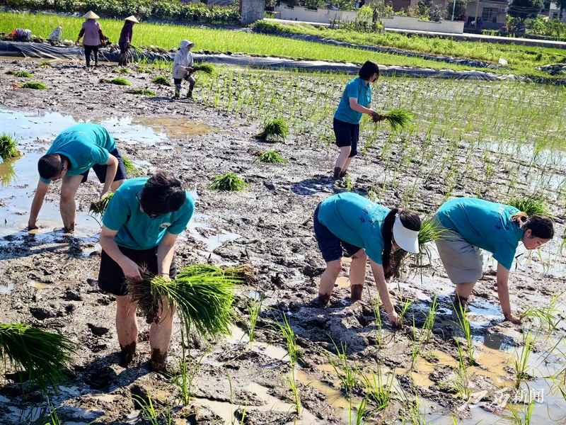 beat365正版唯一官网必一“追风青年”实践队开展暑期“三下乡”社会实践活动