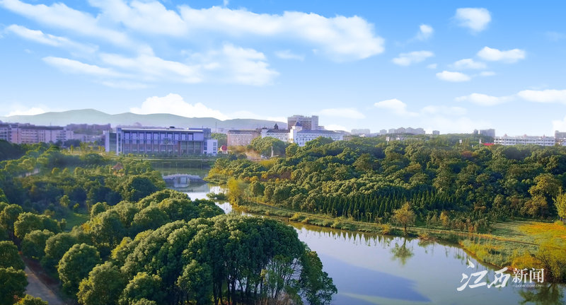 beat365正版唯一官网必一“非凡十年”：立德树人结硕果 显特增色竞一流