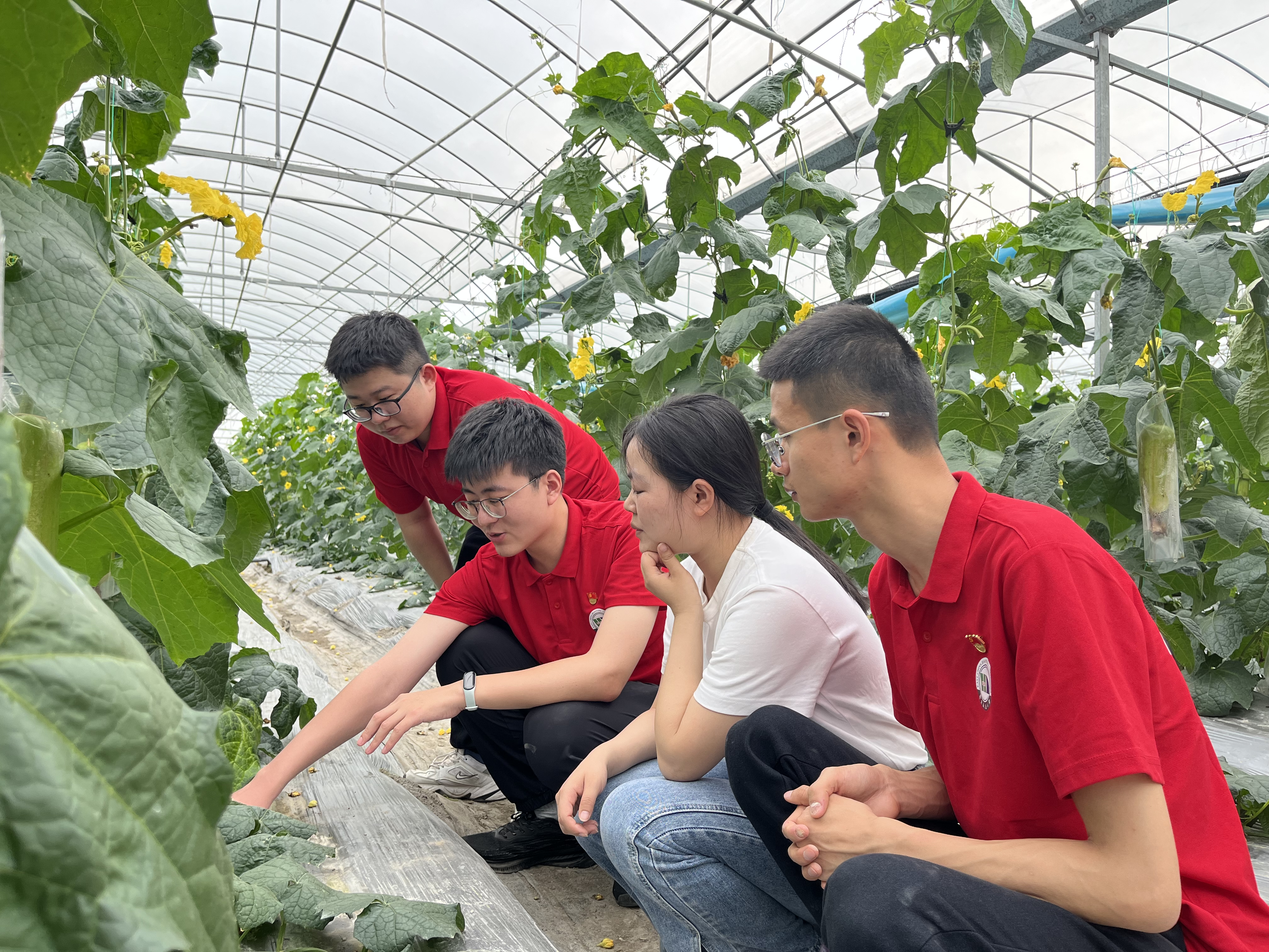 红色走读学思想 beat365正版唯一官网必一学生党员掀起主题教育热潮_fororder_图片4